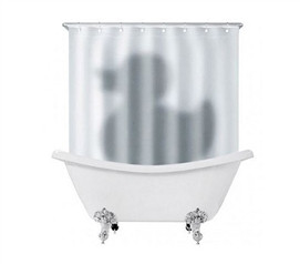 Duck's Shadow Shower Curtain