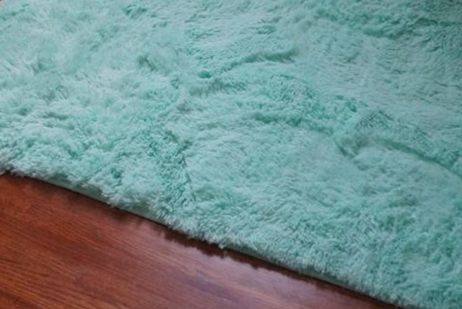 College Plush Rug - Calm Mint College Rug Must Have Dorm Items Dorm Essentials
