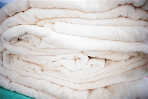 Softest College Twin XL Sheets EVER - 330GSM Coral Fleece - Ecru