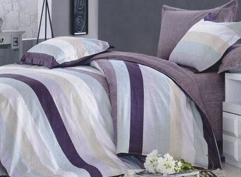 Twin XL Comforter Set - College Ave Dorm Bedding - Super Soft And Cozy