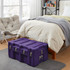 Footlocker Trunk with Wheels and Handle Purple Dorm Decor Space Saving Storage Bins