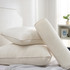 Rainha® Velvet Euro Pillow - Creamy Beige