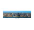 New York City, New York - Deep Blue Panorama