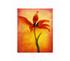 Tulip Fire II College Dorm Room Poster bright orange color dorm room size poster featuring gorgeous Tulip
