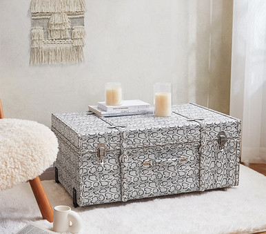 Student Discount Furniture - Texture Brand Trunk with Wheels
