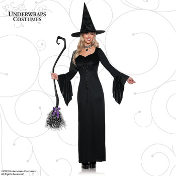 Enchanting Witch Costume