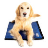 Cooler Dog Hydro Cooling Mat 18x23