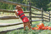 Fashion Pet Blanket Red Dog Coat - XSmall