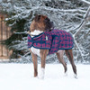 Shedrow K9 Glacier Navy & Red Geometric Dog Coat - Large