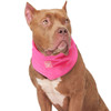 Canada Pooch Chill Seeker Cooling Dog Bandanas in Neon Pink