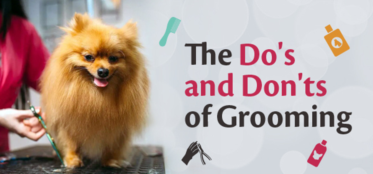 Grooming Hacks: The Do's and The Don'ts