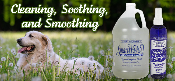 cherrybrook pet store