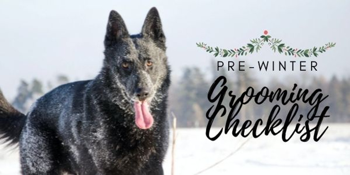 Essential Pre-Winter Grooming Checklist