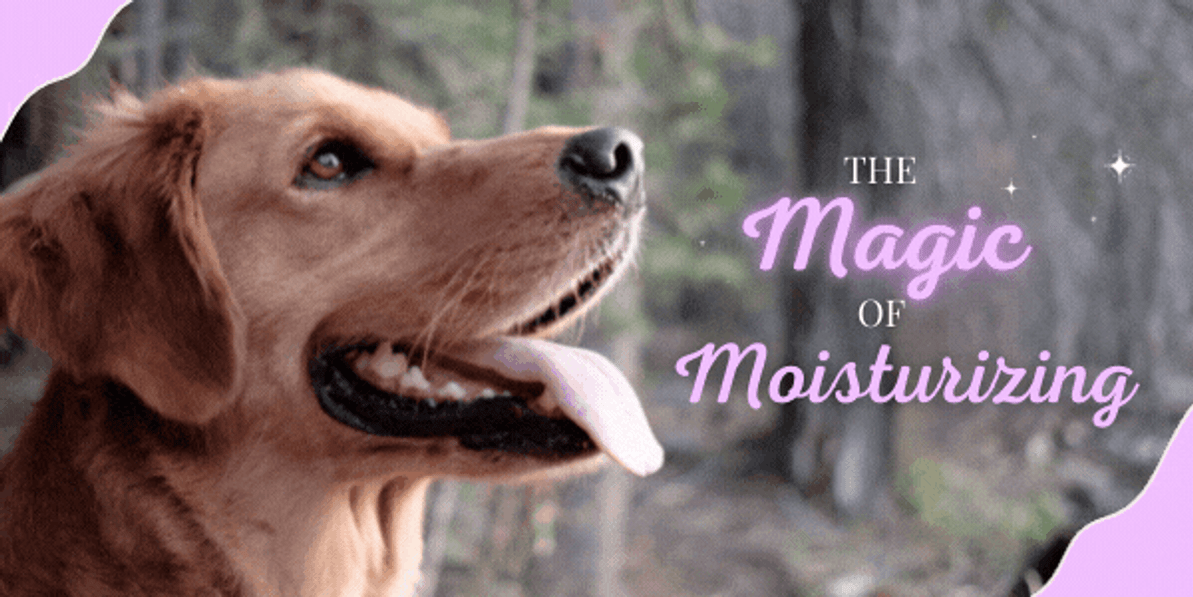 The Magic of Moisture