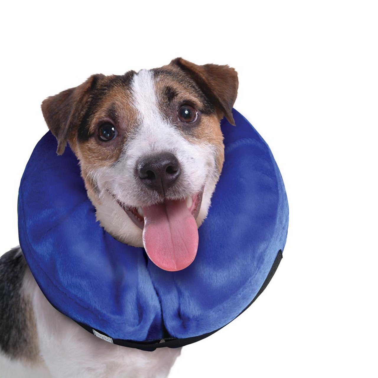 kong cloud collar for dogs 