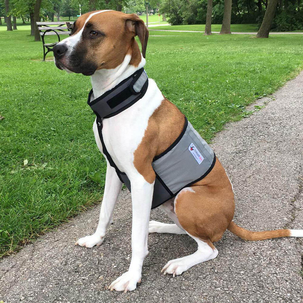 dog cooling vest