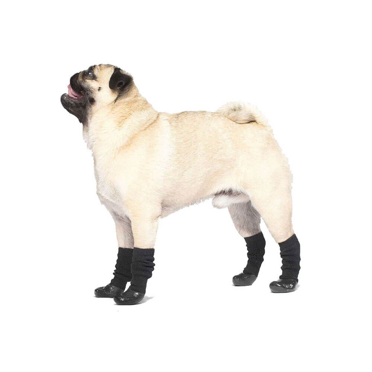 canada pooch wellies review