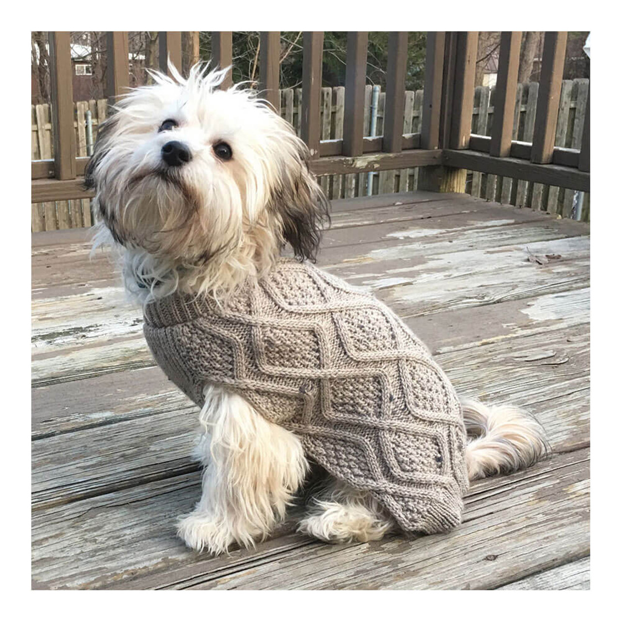 fashion pet cable knit dog sweater