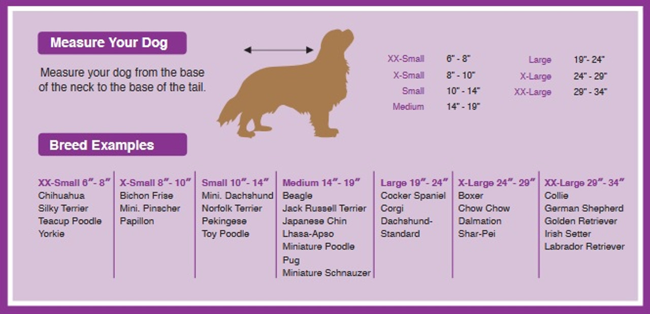 miniature poodle size chart