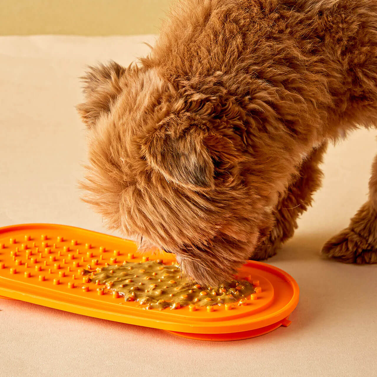 6 Foods to Put on Your Dogs Lick Mat (That Aren't Peanut Butter