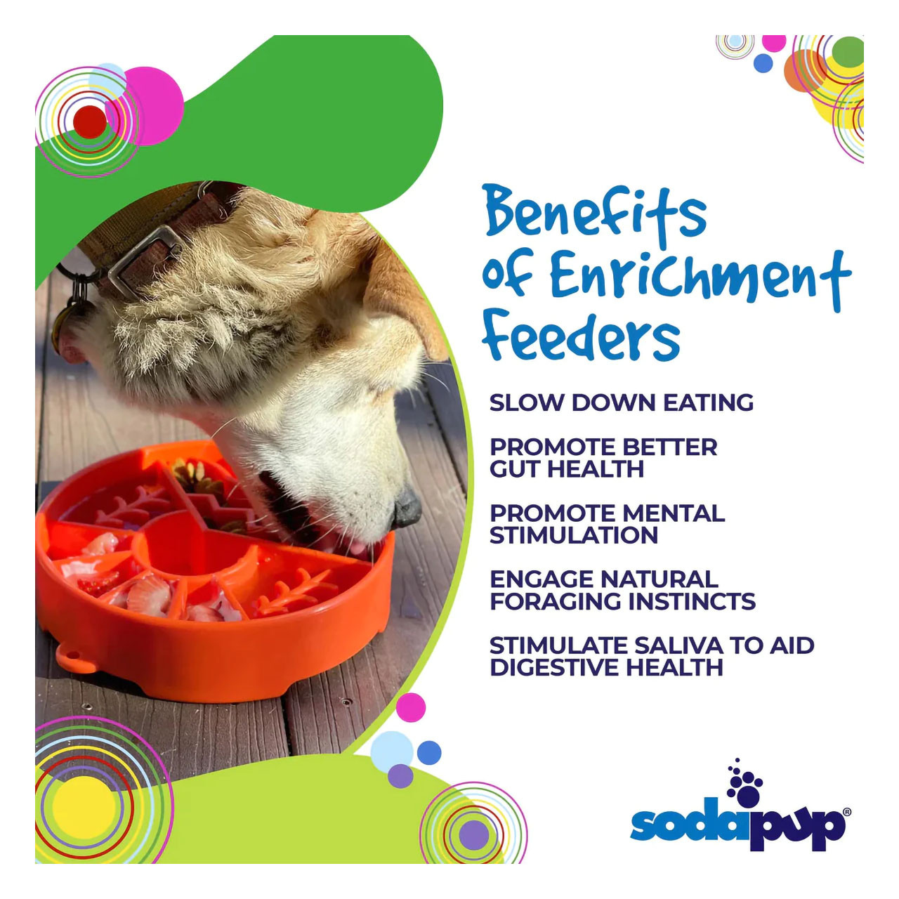 SodaPup - Honeycomb Design eBowl Enrichment Slow Feeder Bowl for Dogs