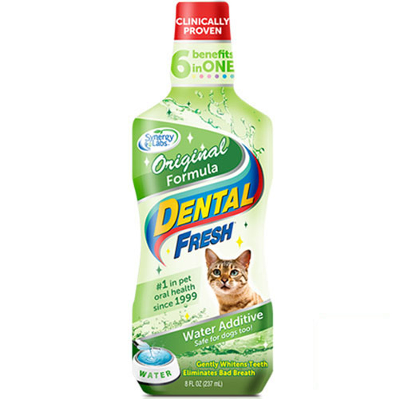 dog cat dental formula