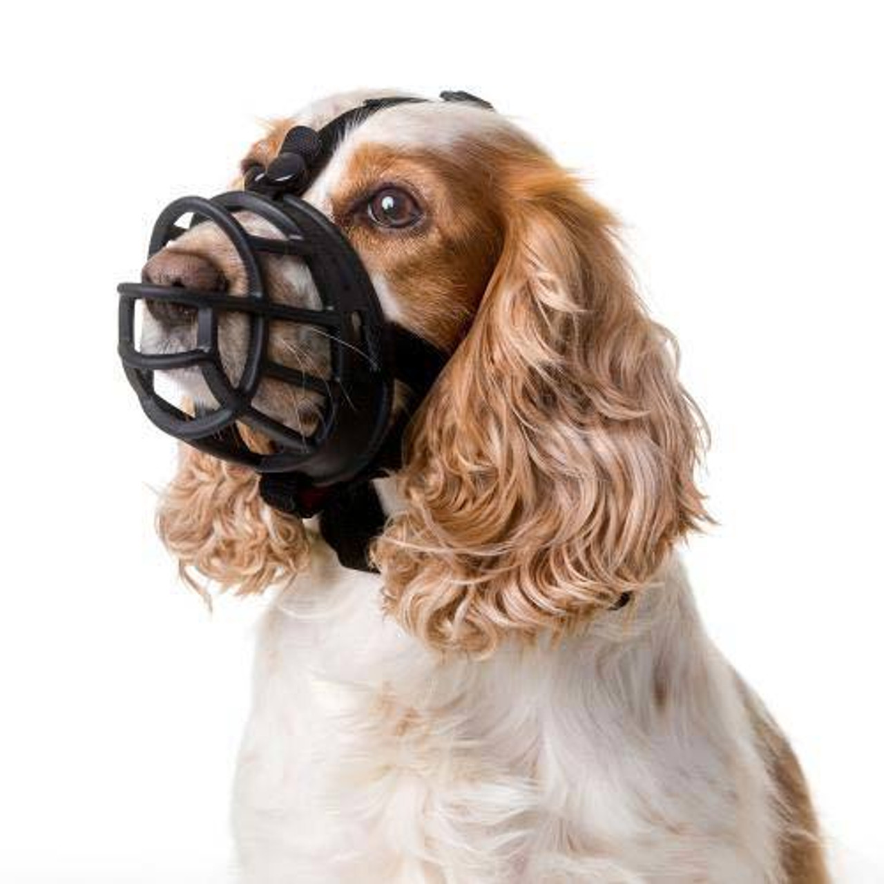 ultra baskerville dog muzzle