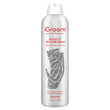 iGroom Boost It Texturizing Aerosol Finishing Spray
