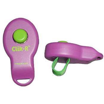 Clik-R Training Device