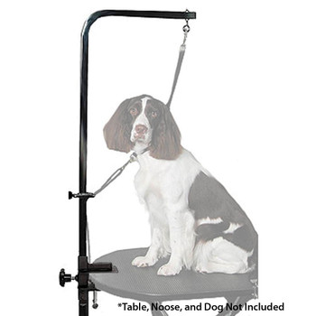 Pet Lift Clamp On Grooming Post