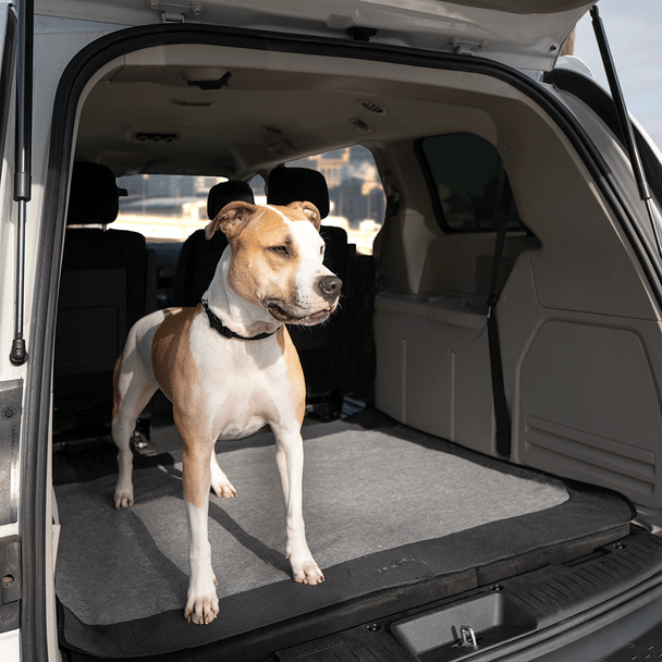 Bergan Auto Cargo Floor Cover