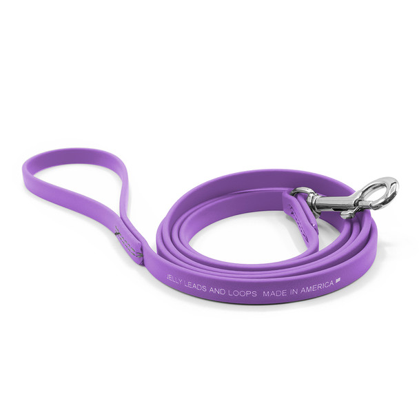 Jelly Pet Standard Dog Leash