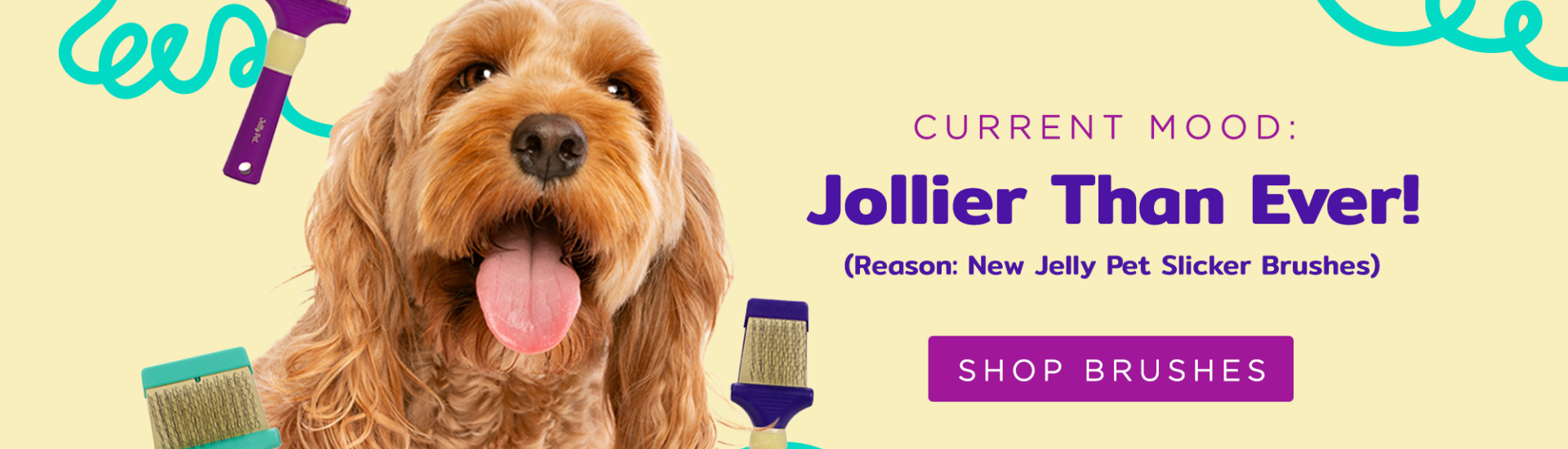 Pet Supplies Plus Grooming Coupon