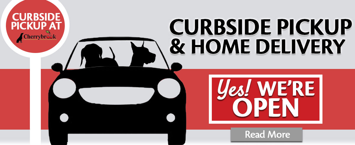 curbside clips mobile grooming