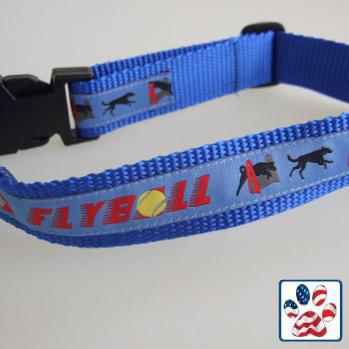 Flyball Collar and Lead Set