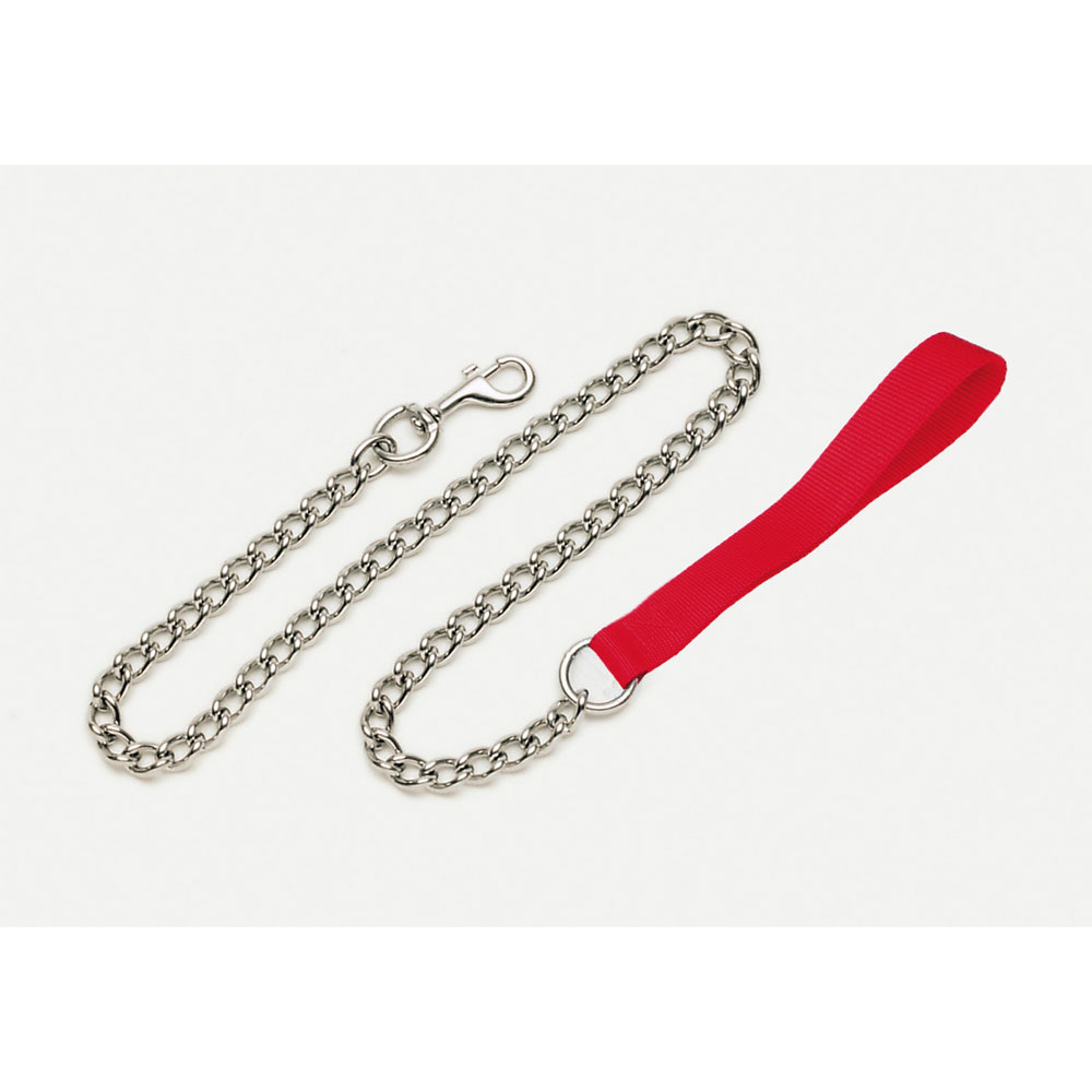 Titan Chain Training Lead 3mm x 4ft