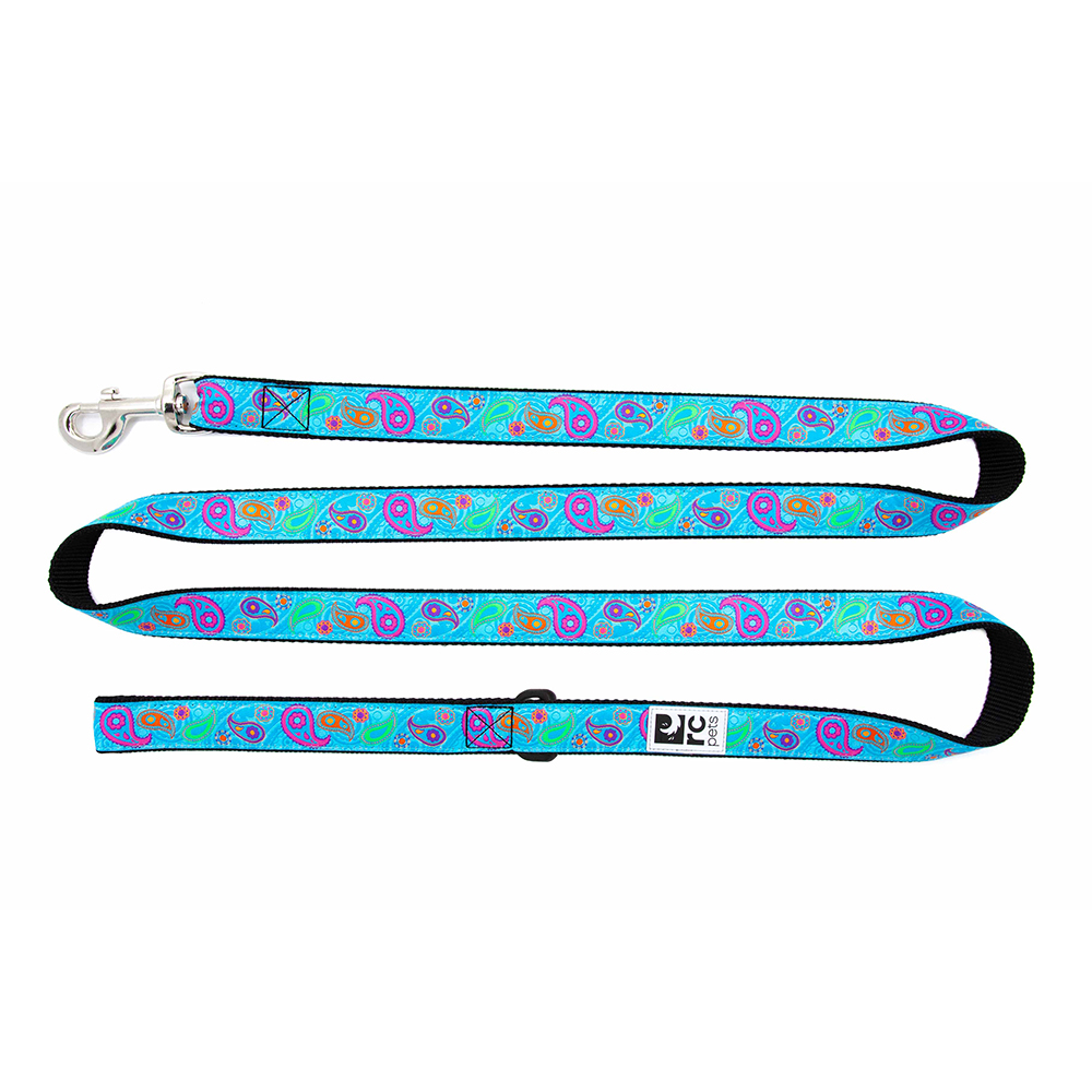 RC Pet Leads - 1" x 6\'