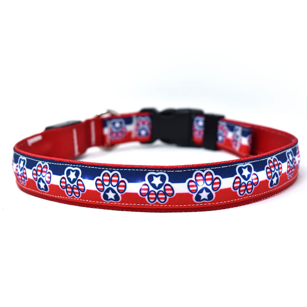 Yellow Dog Design Patriotic Paw Orion LED Collar