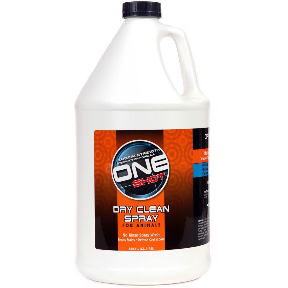 Best Shot One Shot Dry Clean Spray