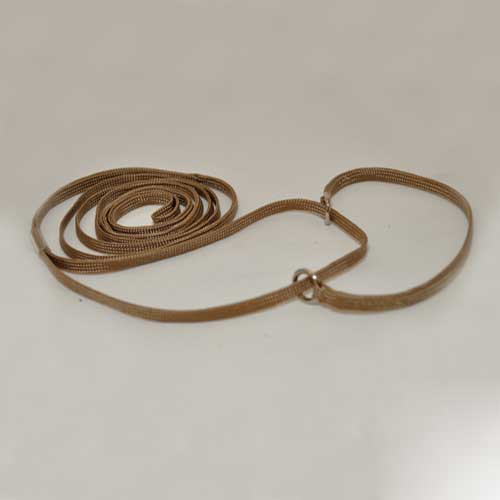 Cherrybrook Championship MEDIUM Nylon Martingale Lead