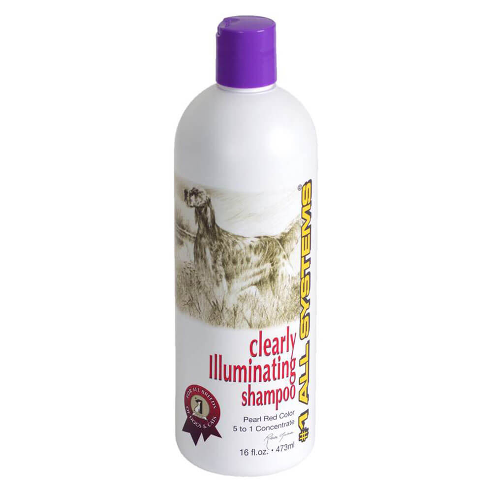 #1 All Systems Clearly Illuminating Shampoo