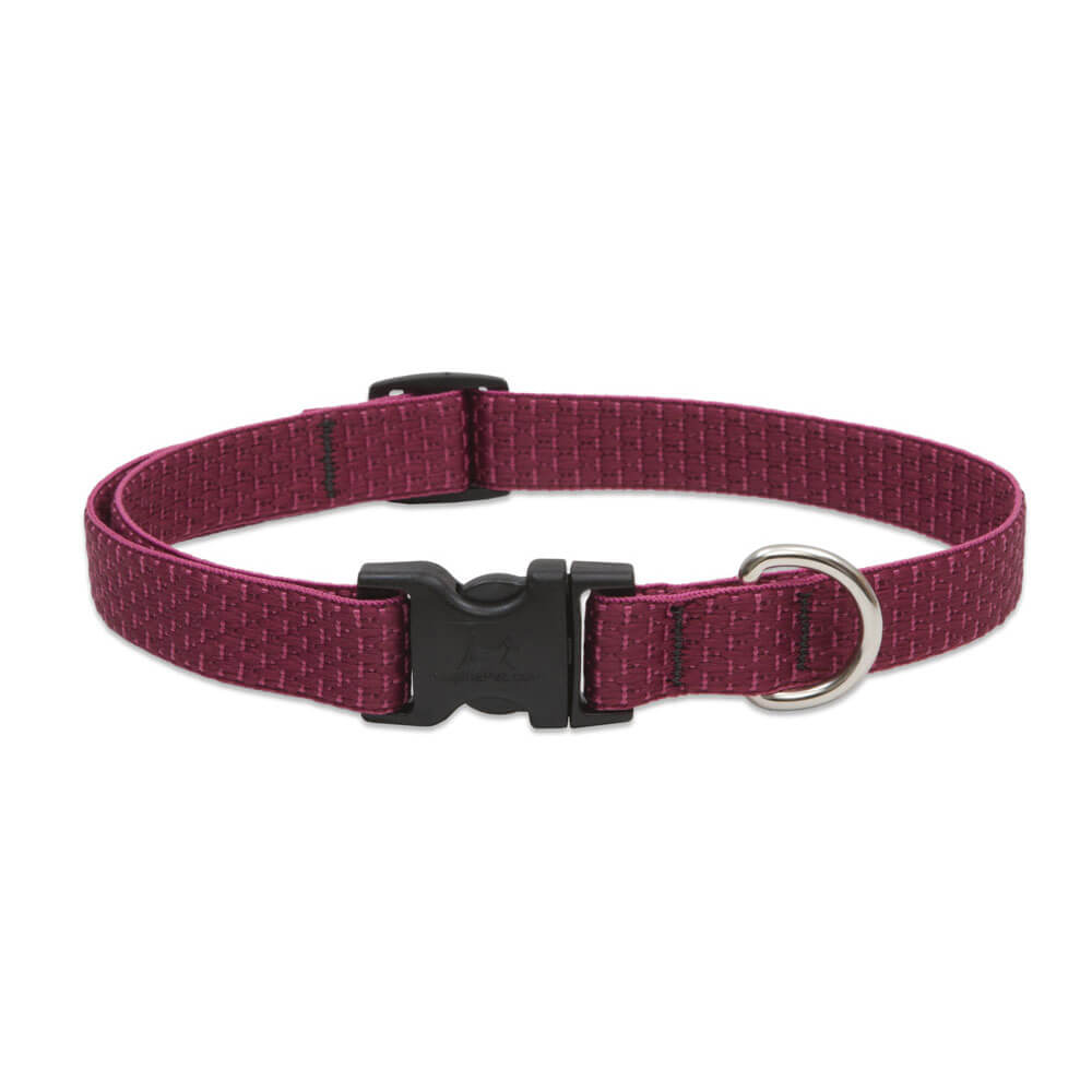 Lupine ECO Series Dog Collars