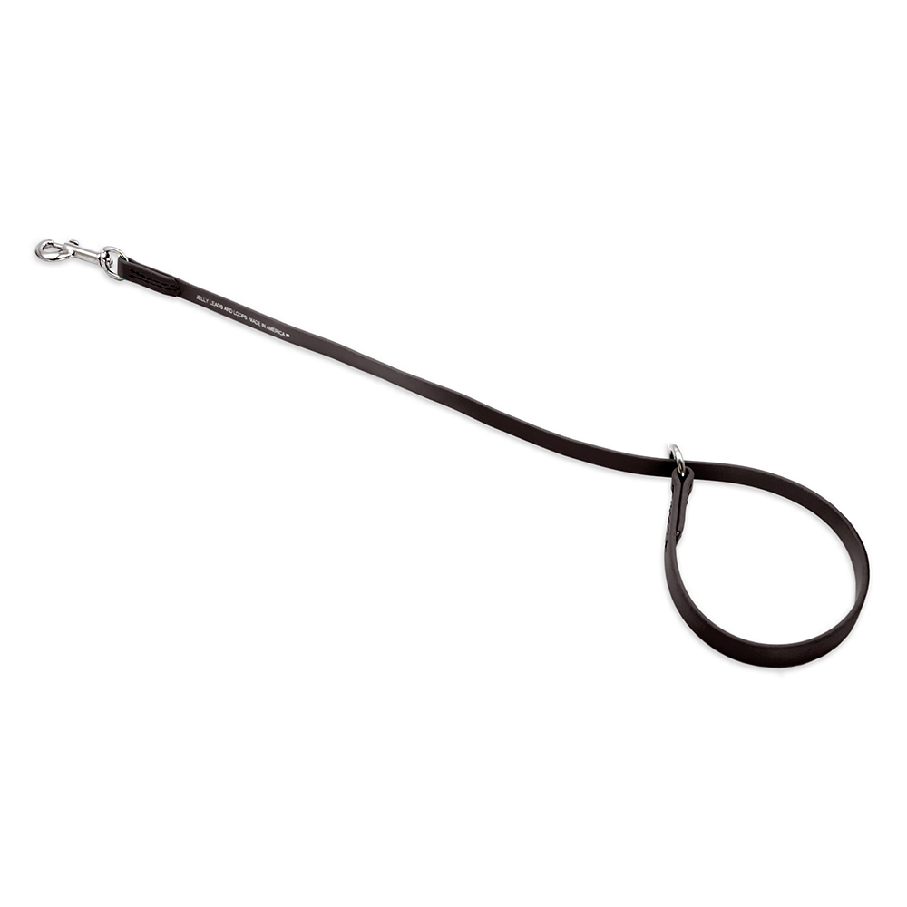 Jelly Pet Slip/Choker Style Grooming Loop
