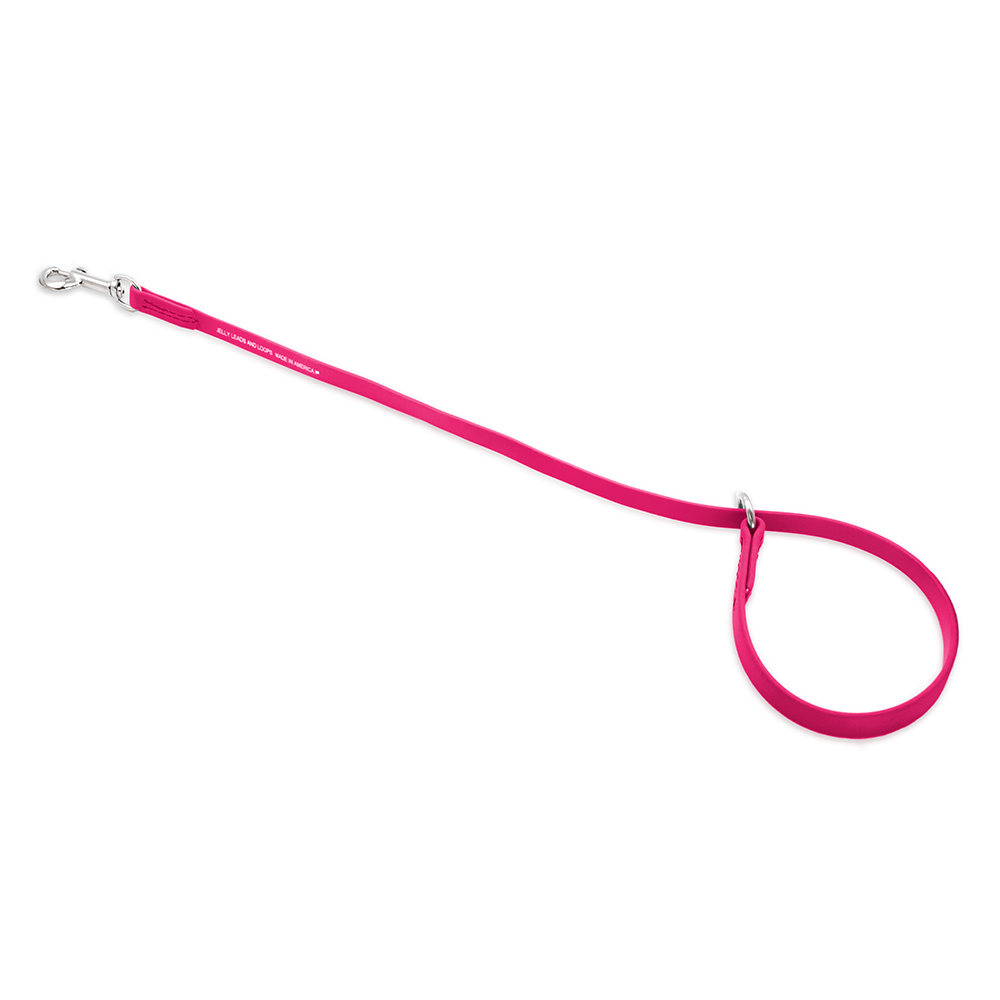 Jelly Pet Slip/Choker Style Grooming Loop