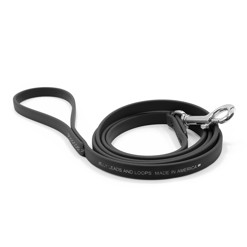 Jelly Pet Standard Dog Leash