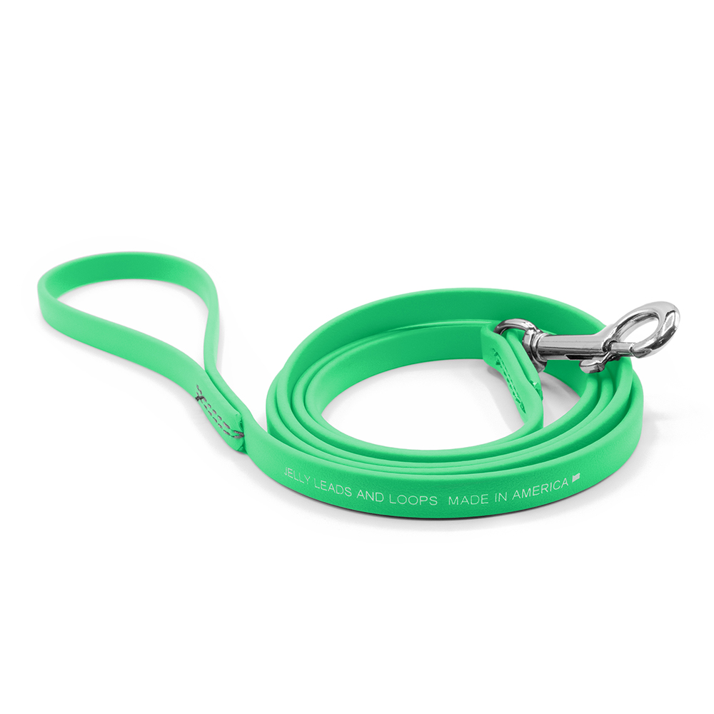 Jelly Pet Standard Dog Leash