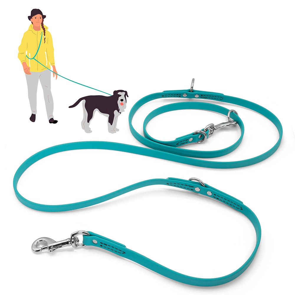 Jelly Pet Multipurpose Dog Leash