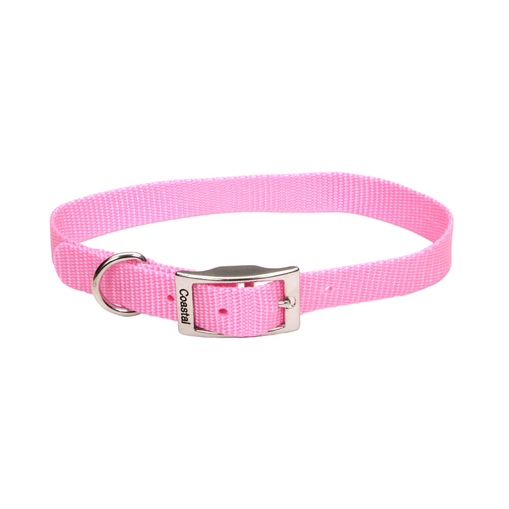 Coastal Pet Nylon Collar 3/4" x 18"