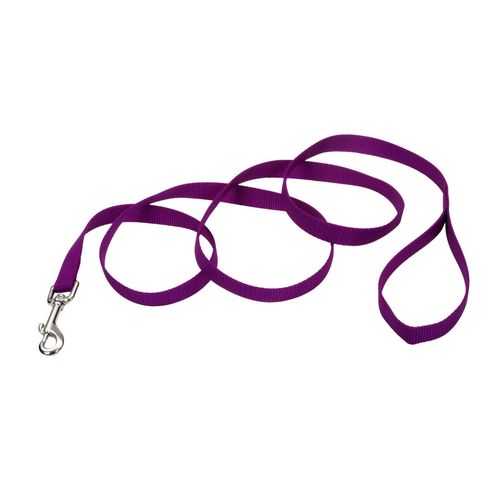 Coastal Pet Nylon Lead 1" x 6\'