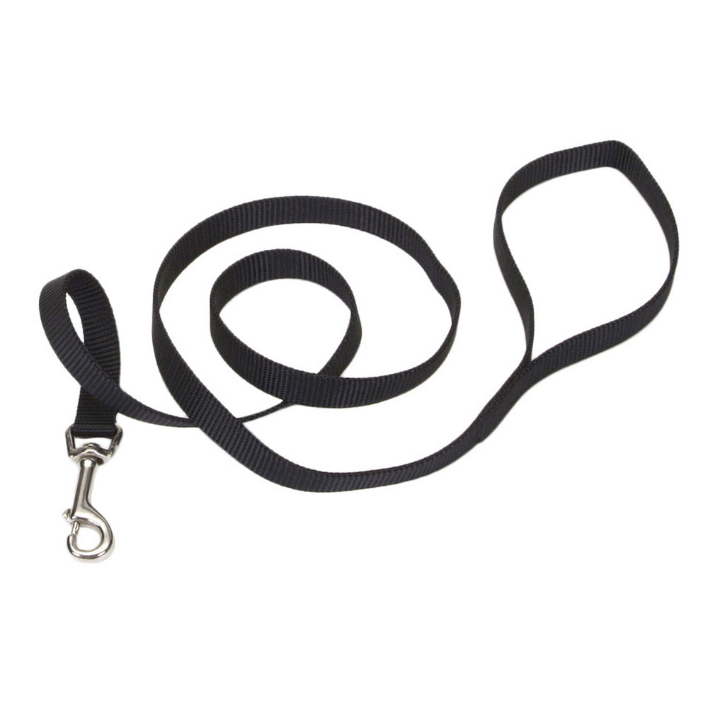 Coastal Pet Nylon Lead - 5/8" x 6\'
